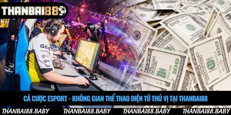 Cá cược esport - Không gian thể thao điện tử thú vị tại Thanbai88