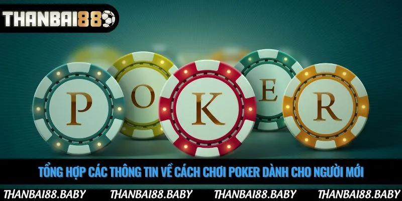 Tổng hợp các thông tin về cách chơi poker dành cho người mới