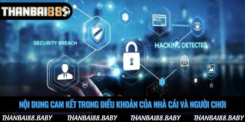 Nội dung cam kết trong điều khoản của nhà cái và người chơi