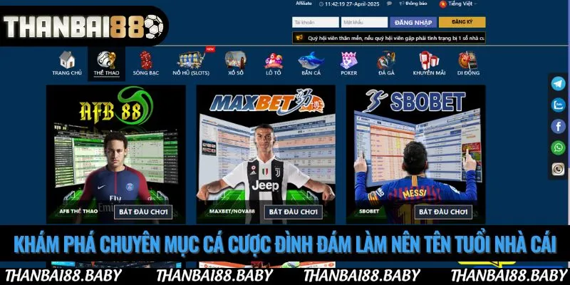 Khám phá chuyên mục cá cược đình đám làm nên tên tuổi nhà cái