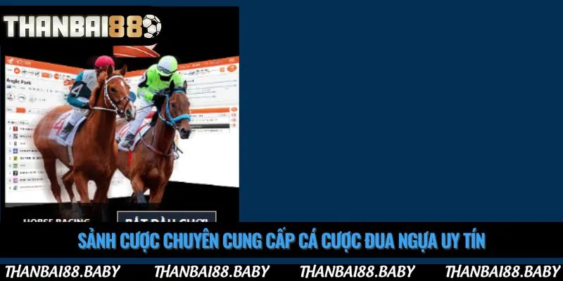 Sảnh cược chuyên cung cấp cá cược đua ngựa uy tín