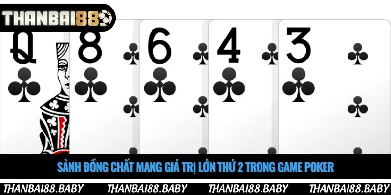 Sảnh đồng chất mang giá trị lớn thứ 2 trong game poker